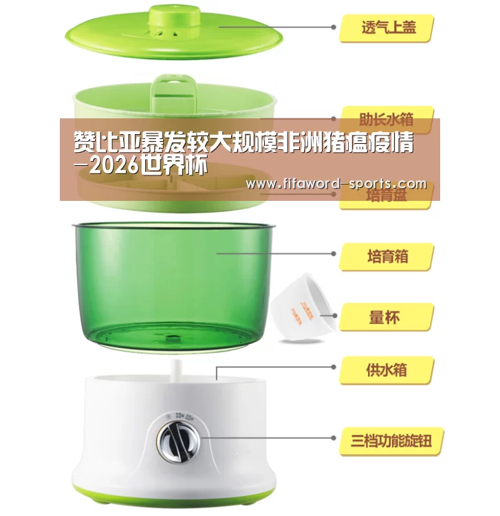 2026世界杯官方网站